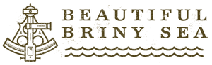 Beautiful Briny Sea